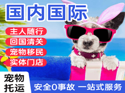 威海大水泊空运地址国际宠物托运 【国